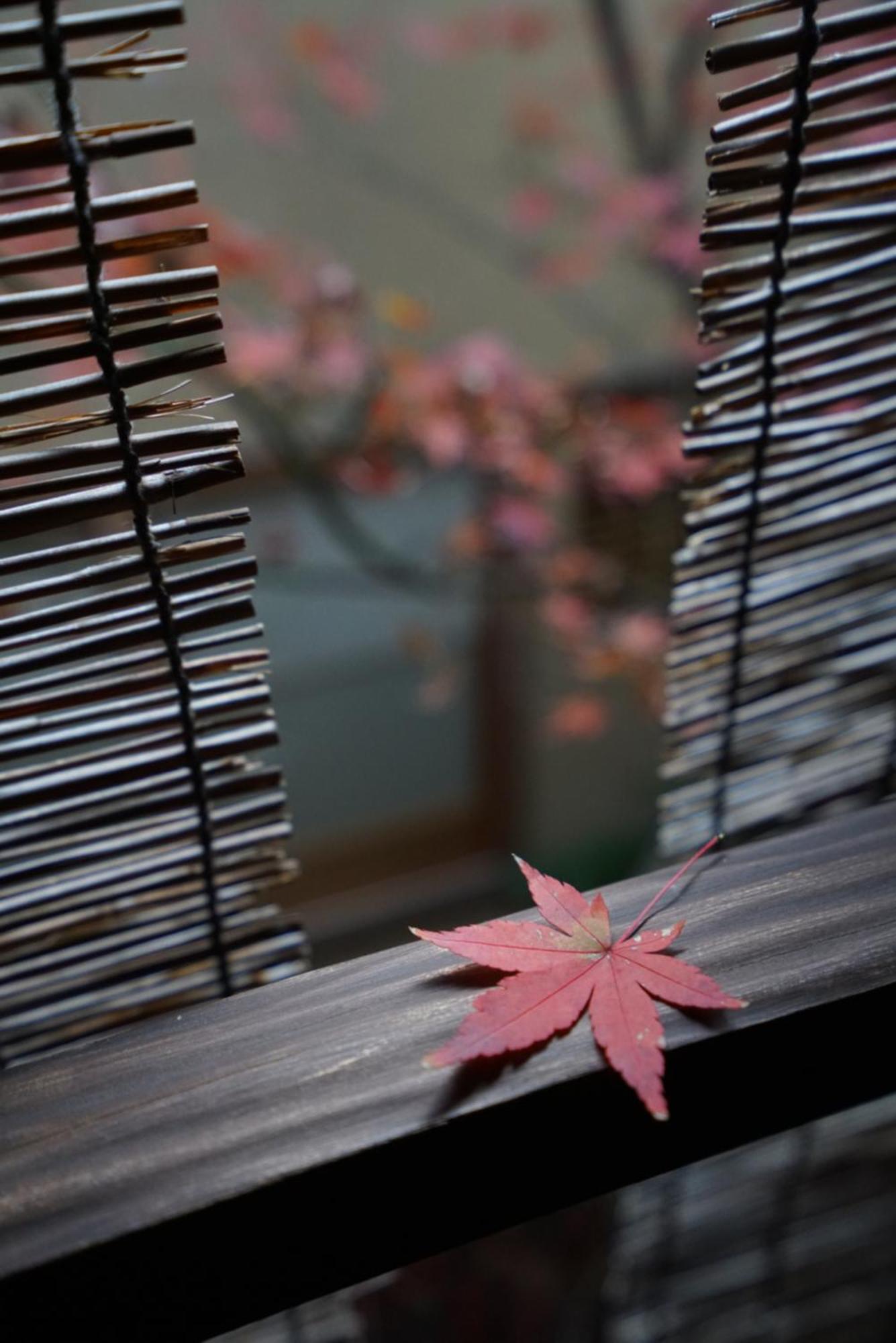 Ryokan Tori Киото Екстериор снимка