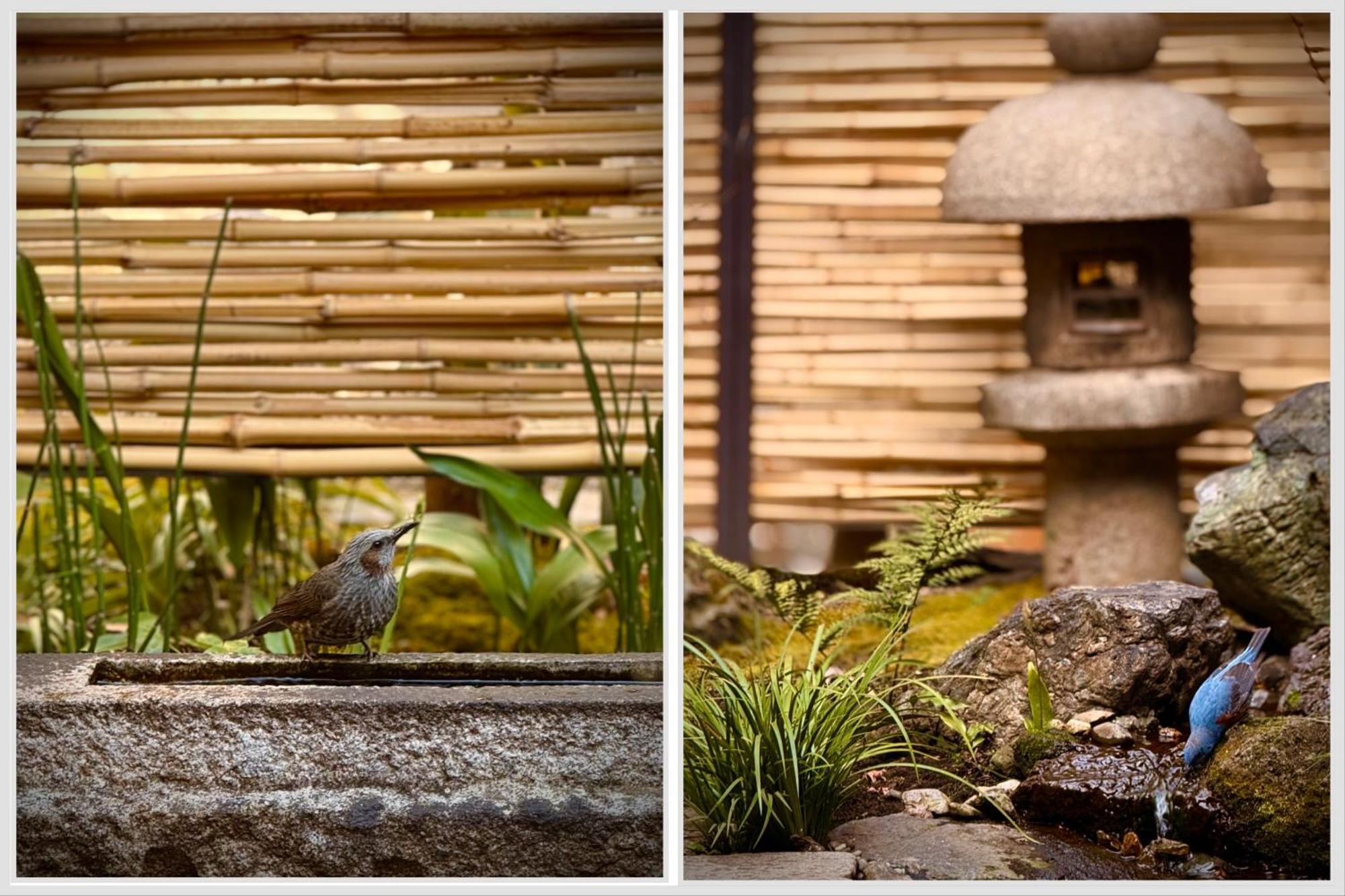 Ryokan Tori Киото Стая снимка